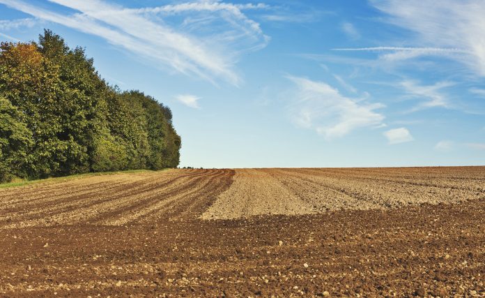 suelo agrícola